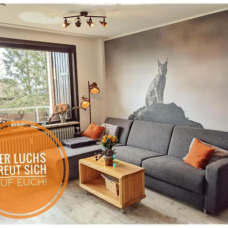 Luchsbutze Apartment Sankt Andreasberg Exterior photo