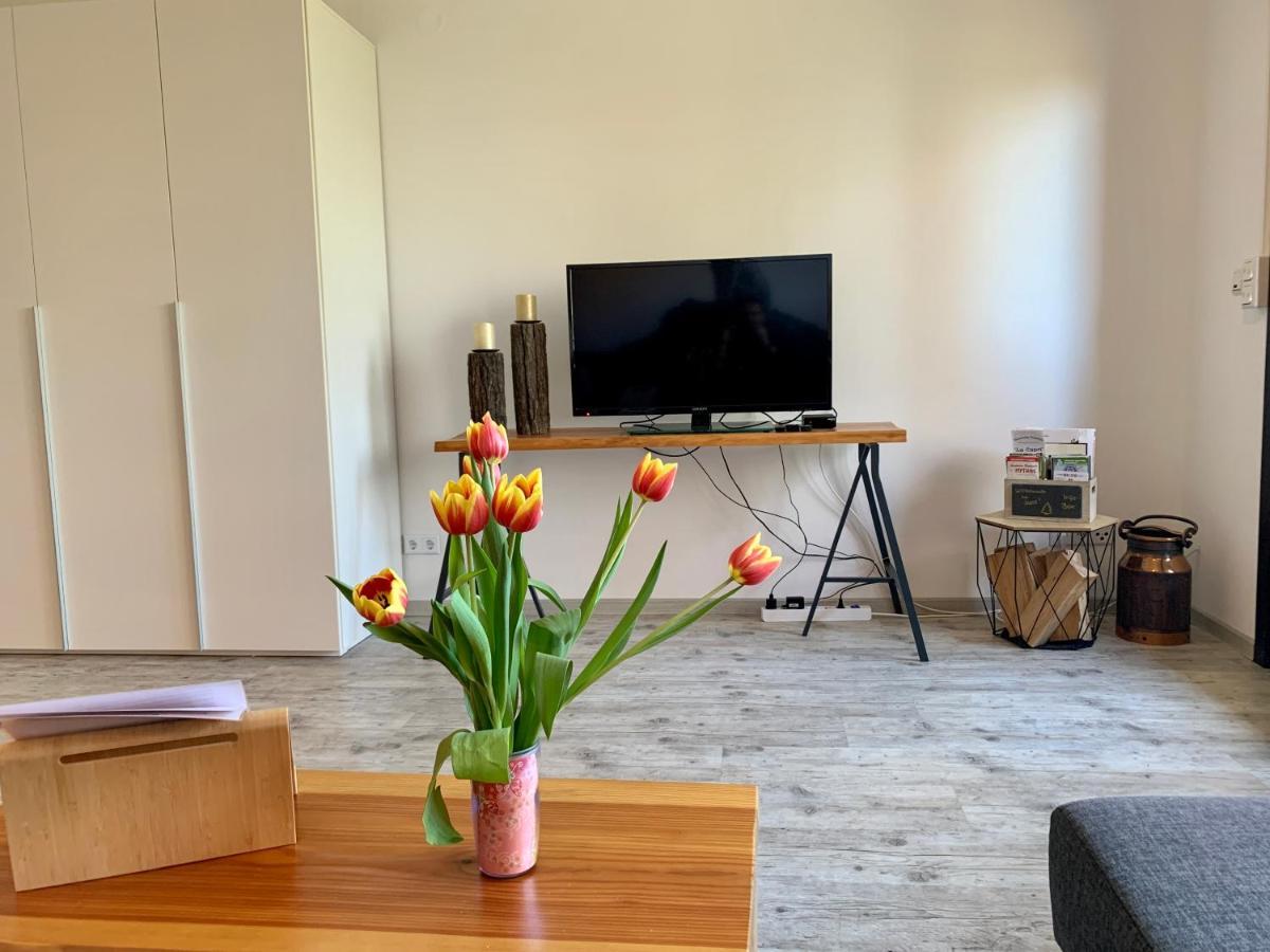 Luchsbutze Apartment Sankt Andreasberg Exterior photo