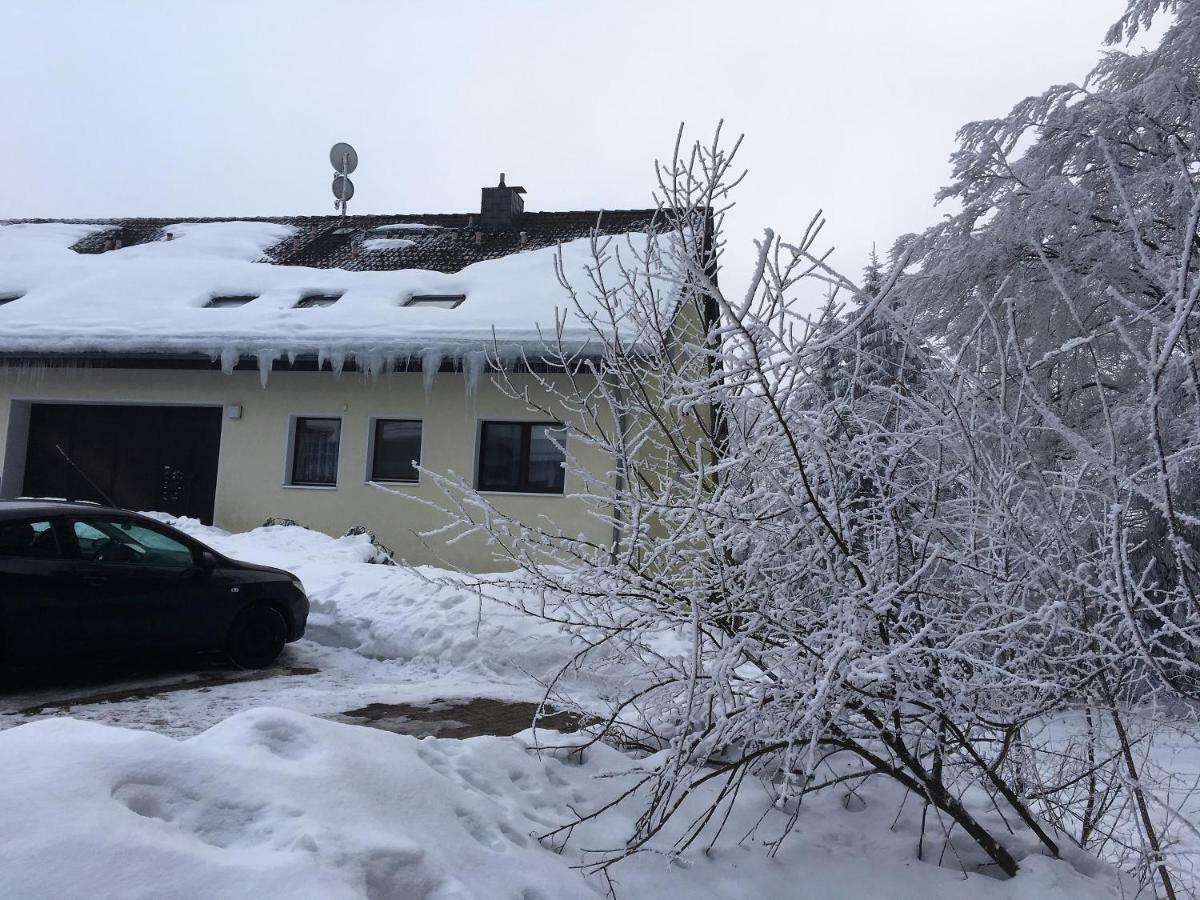 Luchsbutze Apartment Sankt Andreasberg Exterior photo